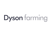 Dyson